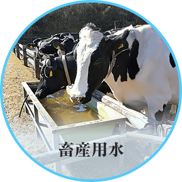 畜産用水